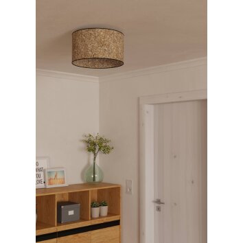 Eglo lights BUTTERBURN ceiling light, wall light black, 1-light source