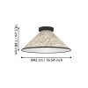 Eglo lights OXPARK ceiling light, wall light black, 1-light source
