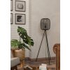Eglo lights RINROE floor lamp black, 1-light source