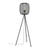 Eglo lights RINROE floor lamp black, 1-light source