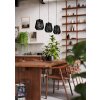 Eglo lights PERSLEY hanging light black, 3-light sources