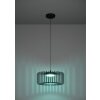 Eglo lights GINESTRONE-Z hanging light LED black, 1-light source, Colour changer