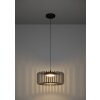 Eglo lights GINESTRONE-Z hanging light LED black, 1-light source, Colour changer