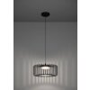 Eglo lights GINESTRONE-Z hanging light LED black, 1-light source, Colour changer
