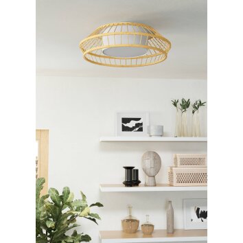 Eglo lights YUKU-Z ceiling light, wall light LED white, 1-light source, Colour changer