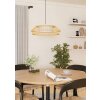 Eglo lights YUKU-Z hanging light LED white, 1-light source, Colour changer