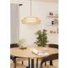 Eglo lights YUKU-Z hanging light LED white, 1-light source, Colour changer