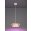 Eglo lights YUKU-Z hanging light LED white, 1-light source, Colour changer