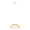 Eglo lights YUKU-Z hanging light LED white, 1-light source, Colour changer