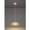 Eglo lights YUKU-Z hanging light LED white, 1-light source, Colour changer