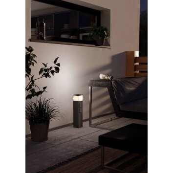 Eglo lights EGLO plug-in light anthracite, 1-light source