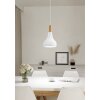 Eglo lights SABINAR hanging light white