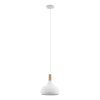 Eglo lights SABINAR hanging light white