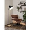 Eglo lights LUBENHAM floor lamp brown, black, 1-light source