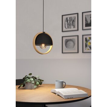 Eglo lights CALLOW hanging light brown, black, 1-light source