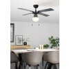 Eglo lights FORTALEZA Ceiling fan light black