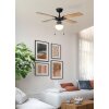 Eglo lights FORTALEZA Ceiling fan light black