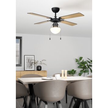 Eglo lights FORTALEZA Ceiling fan light black