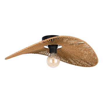 Eglo lights SIRUELA ceiling light black, 1-light source