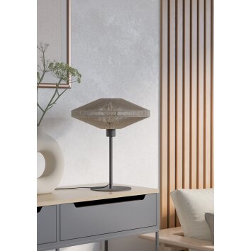 Eglo lights MIDSUMER table lamp black, 1-light source