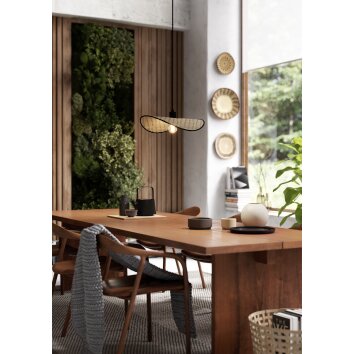 Eglo lights MARYWELL hanging light black, 1-light source