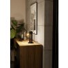 Eglo lights PLIMSOLL table lamp black, 1-light source