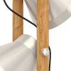 Eglo lights CAWTON floor lamp brown, brushed steel, 2-light sources
