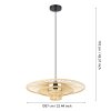 Eglo lights LYDNEY hanging light black, 1-light source
