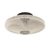 Eglo lights MIDSUMER ceiling light black, 1-light source