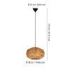 Eglo lights SHELDON hanging light black, 1-light source