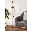 Eglo lights TILSTON floor lamp green, 2-light sources