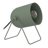 Eglo lights TILSTON table lamp green, 1-light source
