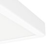 Eglo lights EGLO ceiling light LED white, Colour changer