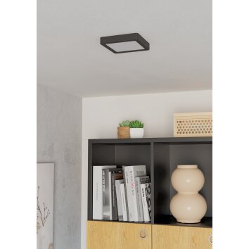 Eglo lights EGLO ceiling light LED black, Colour changer