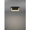 Eglo lights LORETELLO ceiling light, wall and ceiling light LED black, Remote control