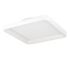 Eglo lights LORETELLO ceiling light, wall and ceiling light LED white, Remote control