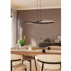 Eglo lights SERPINS hanging light LED black