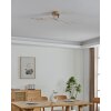 Eglo lights EGLO ceiling light, wall and ceiling light LED light brown