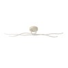Eglo lights EGLO ceiling light, wall and ceiling light LED light brown