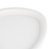 Eglo lights LORETELLO ceiling light, wall and ceiling light LED white, Remote control