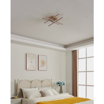 Eglo lights EGLO ceiling light, wall and ceiling light LED light brown