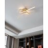 Eglo lights EGLO ceiling light LED light brown
