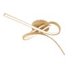 Eglo lights EGLO ceiling light LED light brown