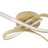 Eglo lights EGLO ceiling light LED light brown