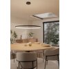 Eglo lights PARRUTA hanging light LED black, Remote control