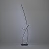 Eglo lights CARDONCITO floor lamp LED black, Colour changer