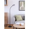 Eglo lights LAURO floor lamp LED black