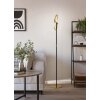 Eglo lights CASTELPOTO floor lamp LED brass, black