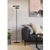 Eglo lights EGLO floor lamp LED black