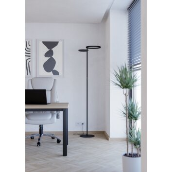 Eglo lights EGLO floor lamp LED black